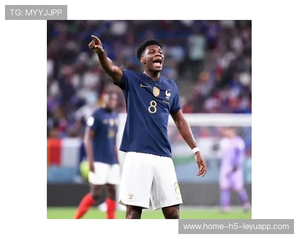 楚阿梅尼拦截成功率攀升，中轴稳定性提升，楚瓦梅尼